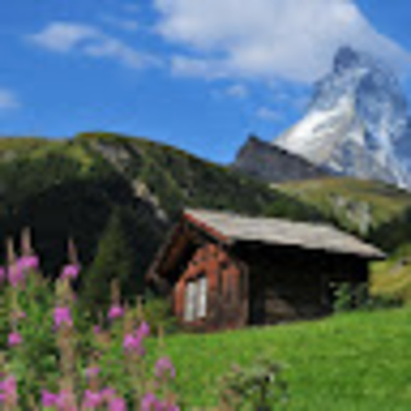 Meet your Posher, Lisa - Picture 1 of 1